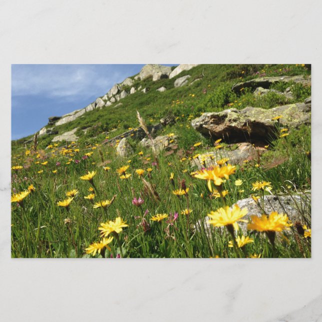 Papier Amazing ! Alpine flowers (Devant)