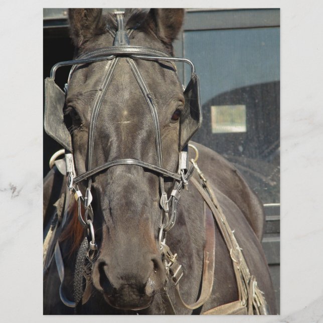 Papier Amish Buggy Horse (Devant)