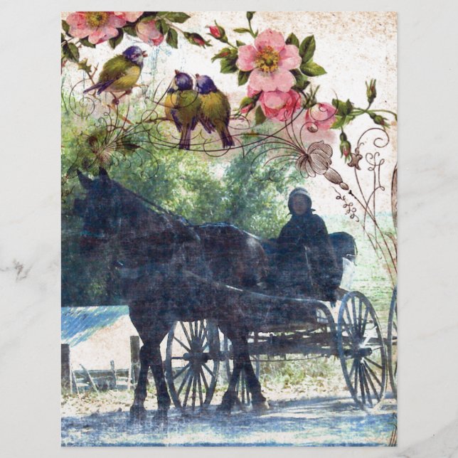 Papier Amish Horse et Buggy Birdie Texture (Devant)