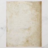 Papier Ancien Parchemin Antique Vierge (Devant)