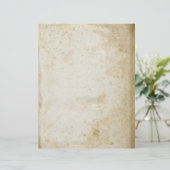 Papier Ancien Parchemin Antique Vierge (Debout devant)