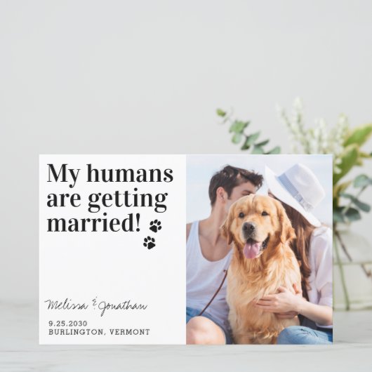 Papier Animal Photo Chien Mariage Chien Enregistrer La Da (Debout devant)