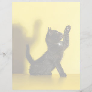 Papier Animaux de bébés cutest   Black Cat Jouer