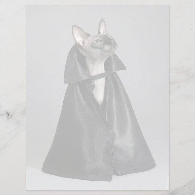 Papier Animaux de bébés cutest | Chat sans poil Sphynx (Devant)