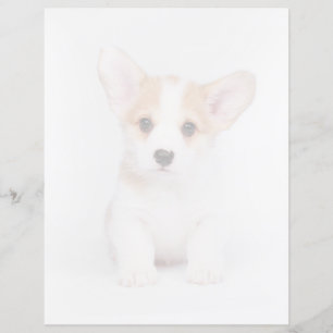 Papier Animaux de bébés cutest Chiot de Corgi blanc