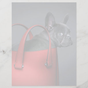 Papier Animaux de bébés cutest   French Bulldog Red Hand 