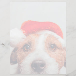 Papier Animaux de bébés cutest Jack Russell Chien Père