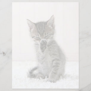 Papier Animaux de bébés cutest Licking Tabby Kitten