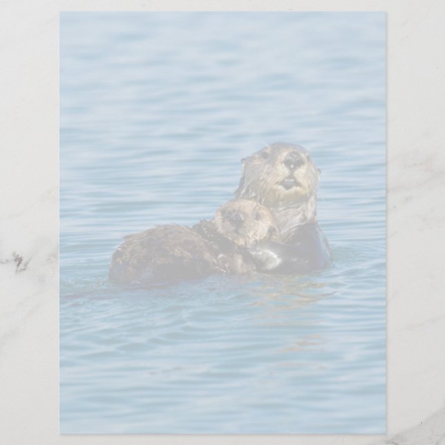 Papier Animaux de bébés cutest | Mère & Bébé Sea Otter (Devant)