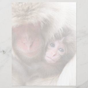 Papier Animaux de bébés cutest   Singe des neiges