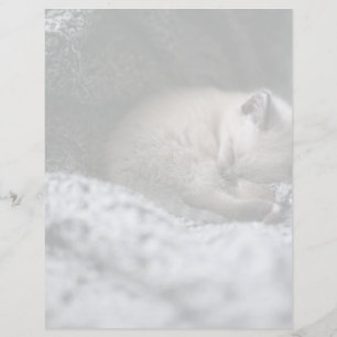 Papier Animaux de bébés cutest Tiny Kitten Dormir