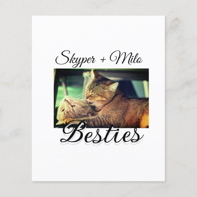 Papier Animaux de compagnie amis besties ajouter nom anim (Devant)