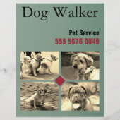 Papier Animaux de compagnie Sitting Service Chien Walker  (Dos)