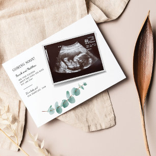Papier Annonce de grossesse bébé Eucalyptus Budget