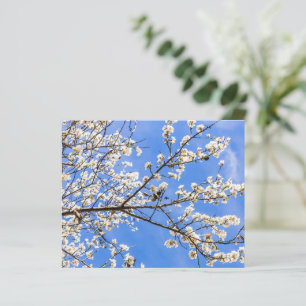 Papier Aquarelle de la branche de floraison Imprimer - Ar