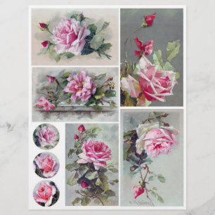 Papier Aquarelle vintage Rose Peintures de C. Klein