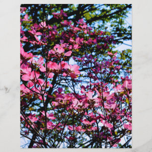 Papier Arbre de Dogwood rose