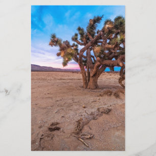 Papier Arbre Mojave Joshua