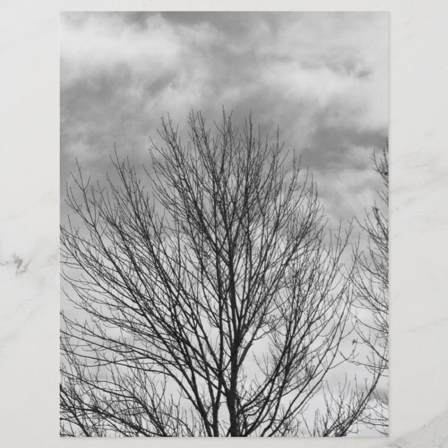 Papier Arbre monochrome (Devant)