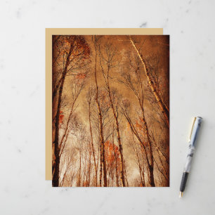 Papier Arbres Brun Orange Vintage Forêt de Bois