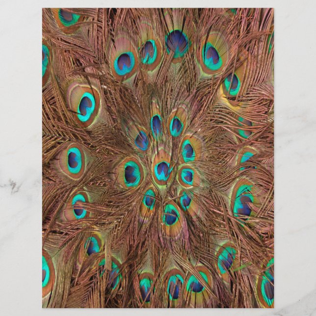 Papier Arrière - plan motif Peacock (Devant)