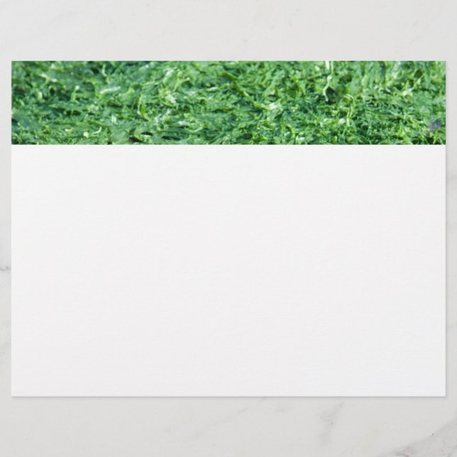 Papier Arrière - plan vert d'algues (Devant)