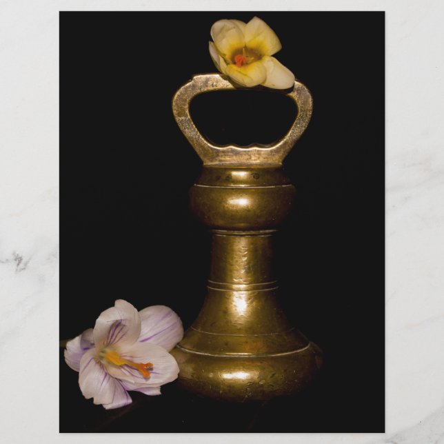 Papier Attraction florale (Devant)