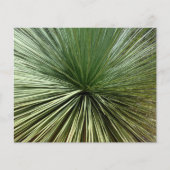 Papier Australien Plante - abstrait (Devant)