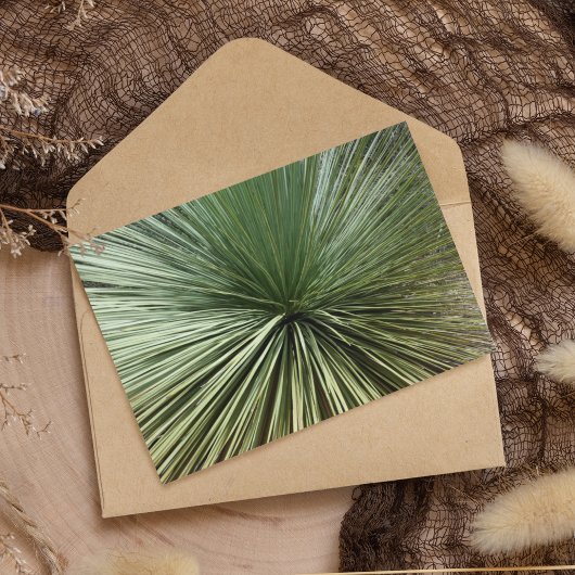 Papier Australien Plante - abstrait