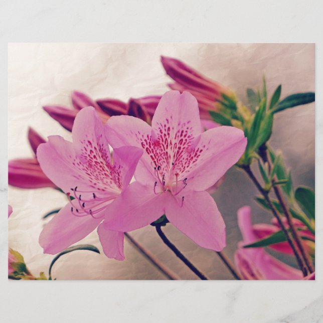 Papier Azaleas (Devant)