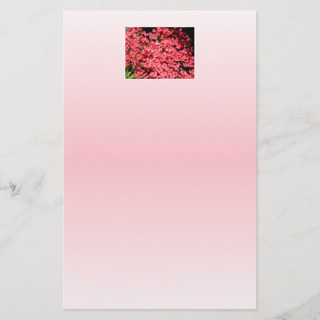 Papier Azalées. Jolies Fleurs Roses. (Devant)