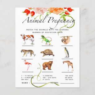 Papier Baby shower Citrouille de grossesse animale