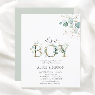 Papier Baby shower Eucalyptus Boy Budget