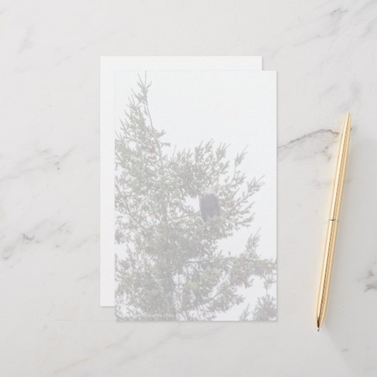 Papier Bald Eagle P2825 (Devant/Arrière en situation)