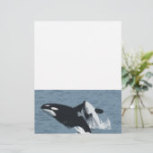 Papier Baleine d'Orka (Debout devant)