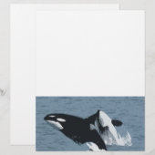 Papier Baleine d'Orka (Devant / Derrière)