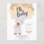 Papier Ballons d'ours en peluche budget baby shower neutr (Devant)