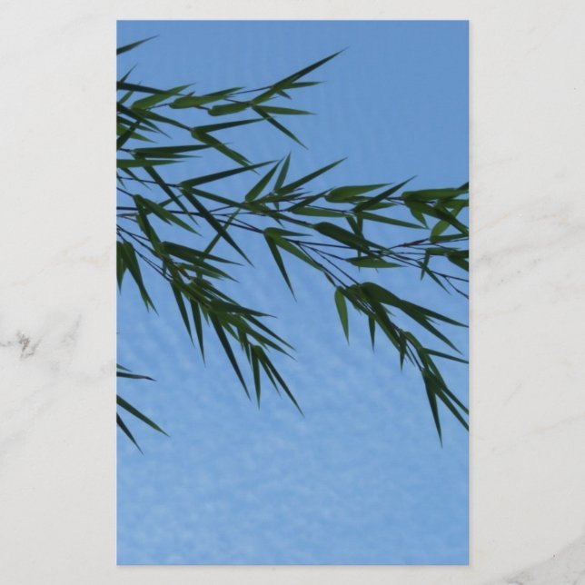 Papier bambou sur ciel de nuages (Devant)
