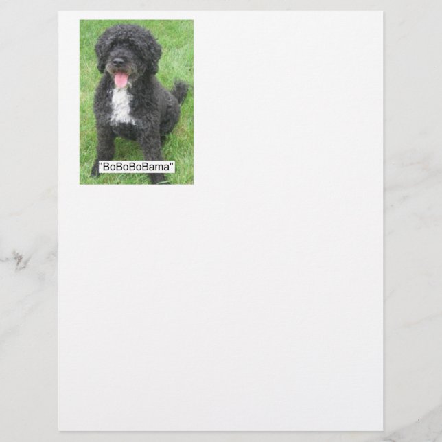 Papier Barack Obama Portugais Water Dog (Devant)