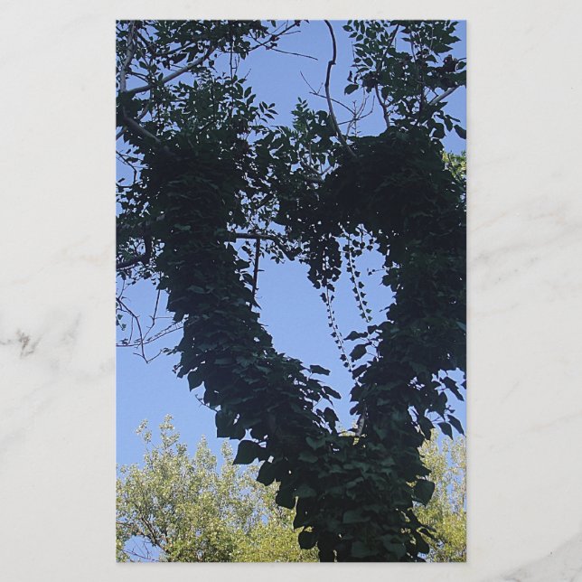 Papier Baumherz (Devant)