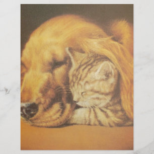 Papier Beau art Extraordinaire de chats et de chats de ch