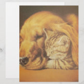 Papier Beau art Extraordinaire de chats et de chats de ch (Devant / Derrière)