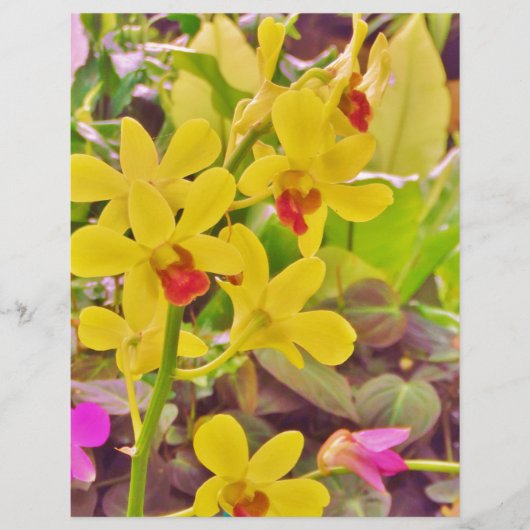 Papier Beautiful Yellow autumn (Devant)