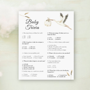 Papier Bébé Trivia - Baby shower de la cigogne