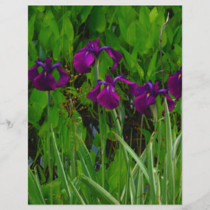 Papier Belle Iris Violet