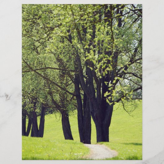 Papier Belle Prairie (Devant)