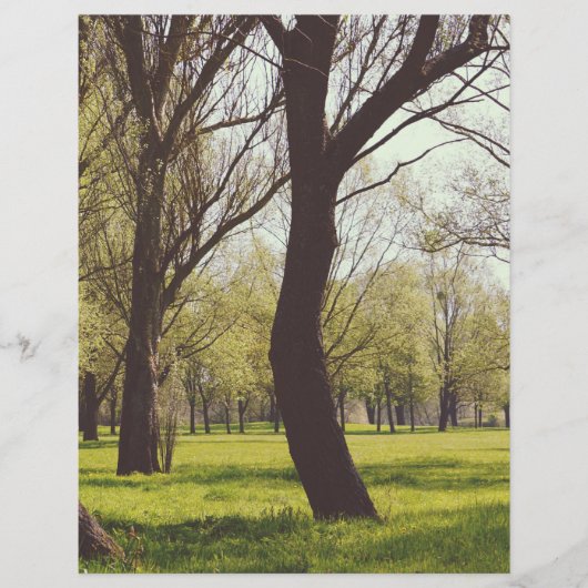 Papier Belle Prairie (Devant)