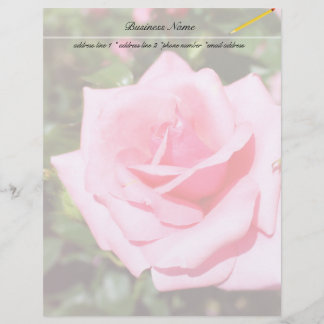 Papier belle rose rose fleur aux coeurs doux