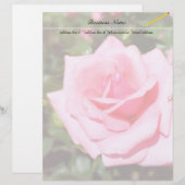 Papier belle rose rose fleur aux coeurs doux (Devant / Derrière)
