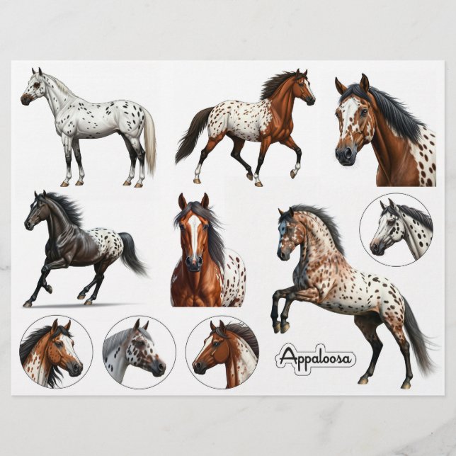 Papier Belles illustrations de chevaux Appaloosa (Devant)